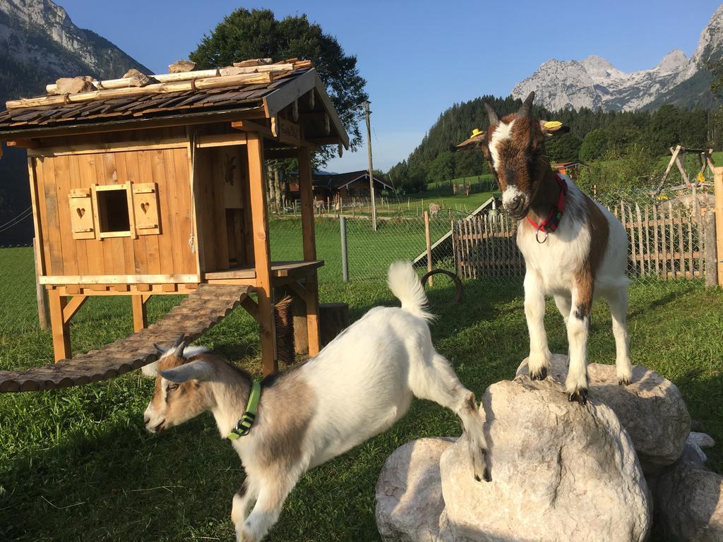 Vorderponholz Ramsau bei Berchtesgaden